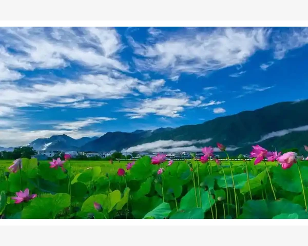 B2B分阶段验收标准该写到多细
